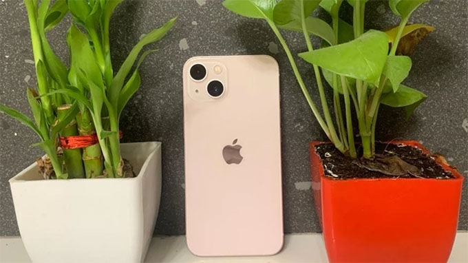 iPhone 13 chiếm 2,1%