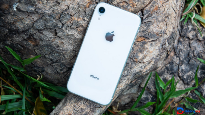 Mặt sau iPhone XR vô cùng sang trọng