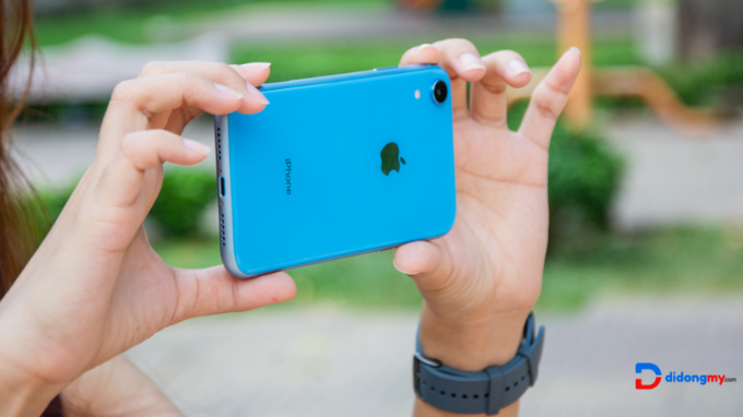 Chụp ảnh bằng iPhone XR cho thành quả đỉnh cao